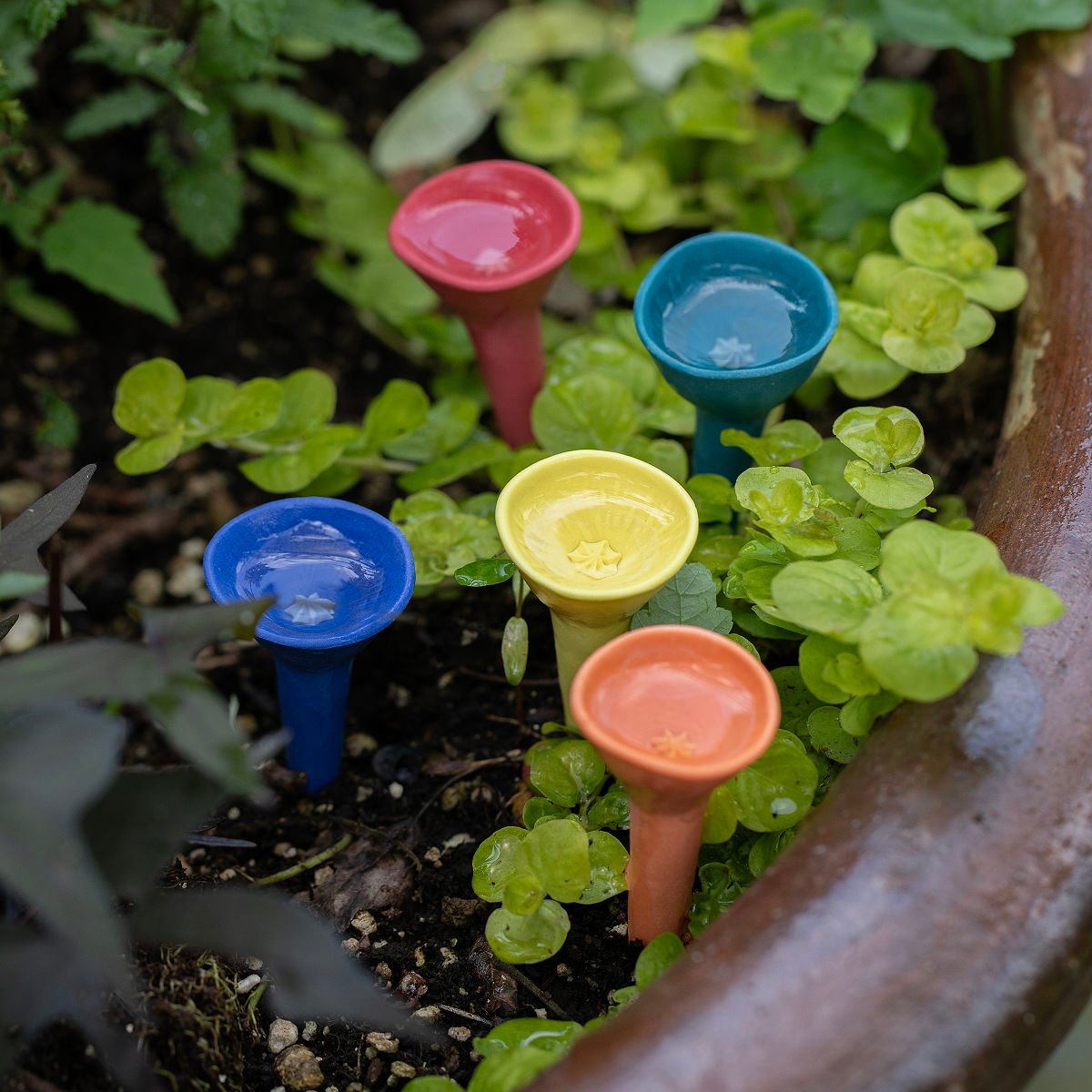 Ceramic Bee Drinking Cup – Set of 5